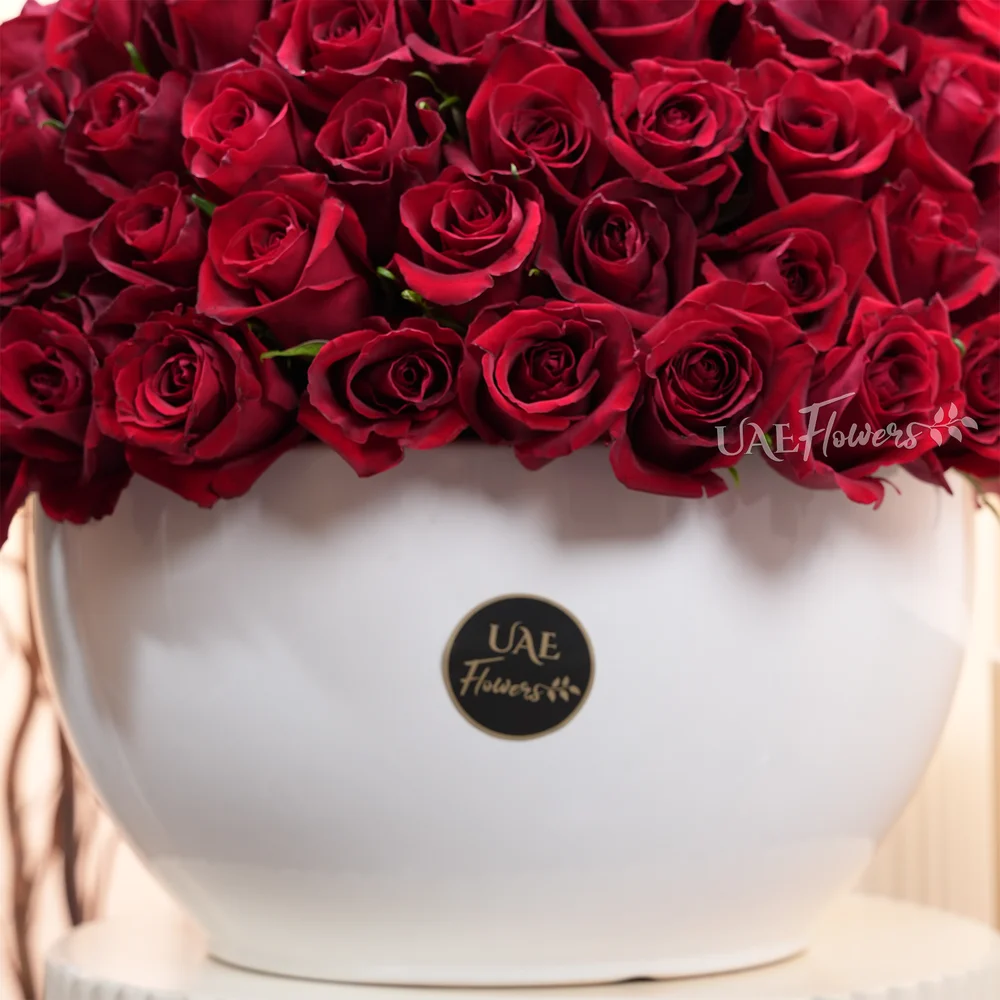 100 red roses