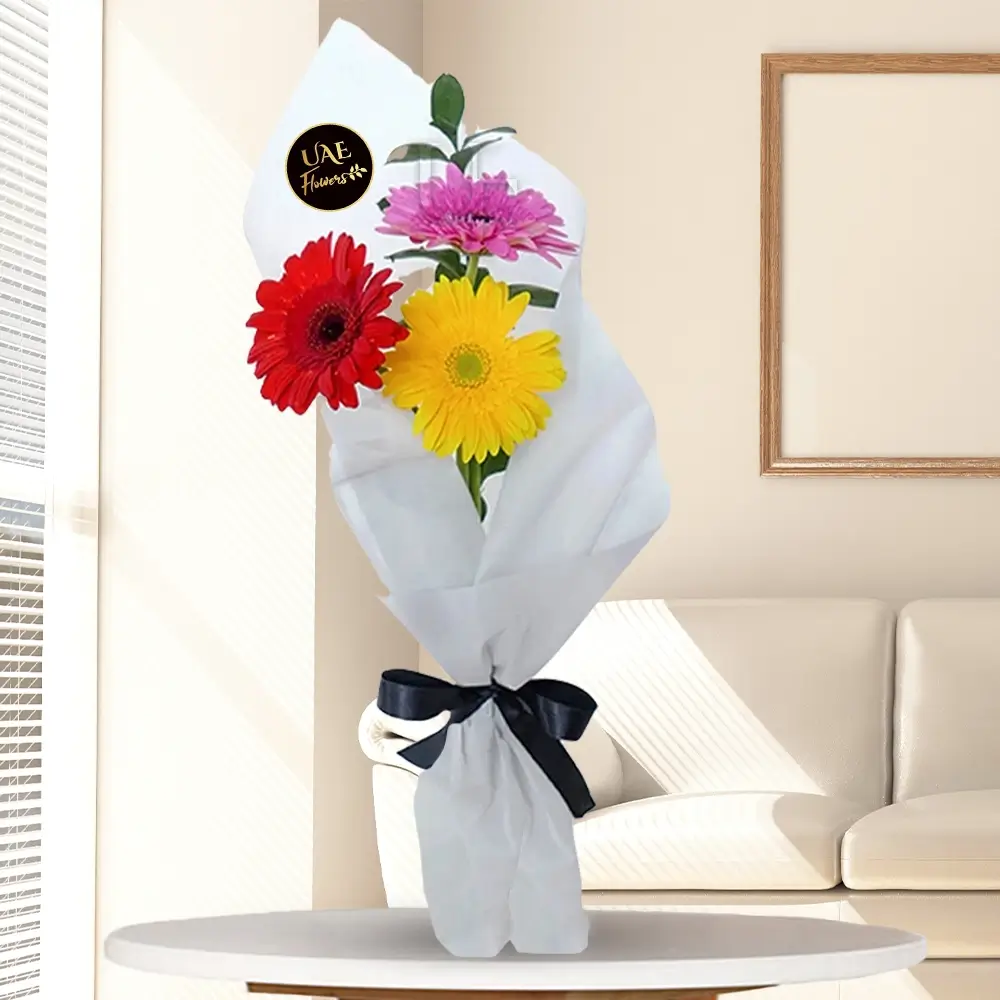 Vibrant bouquet - Bouquet of 3 stems of Gerbera Daisies in nice wrapping