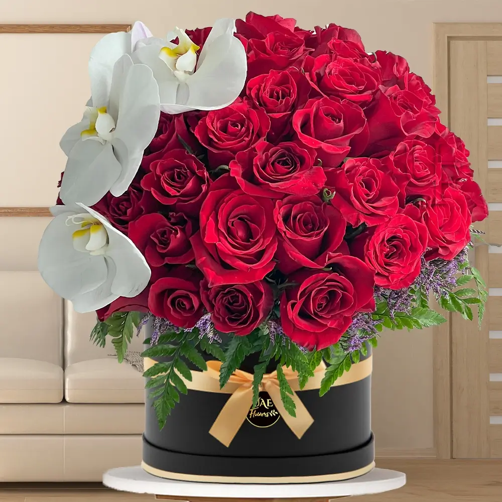 35 red roses with fillers and 1 white phalaenopsis orchid in round black box tied with yellow ribbon