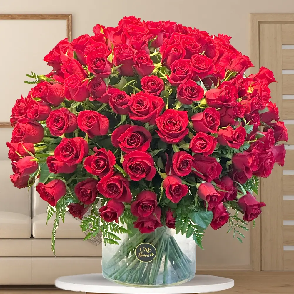 A half round arrangement of 100 red roses with fillers in a glass vase