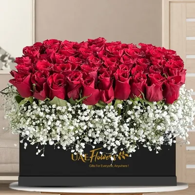 50 red roses with fillers and gypsophila in a black rectangle box