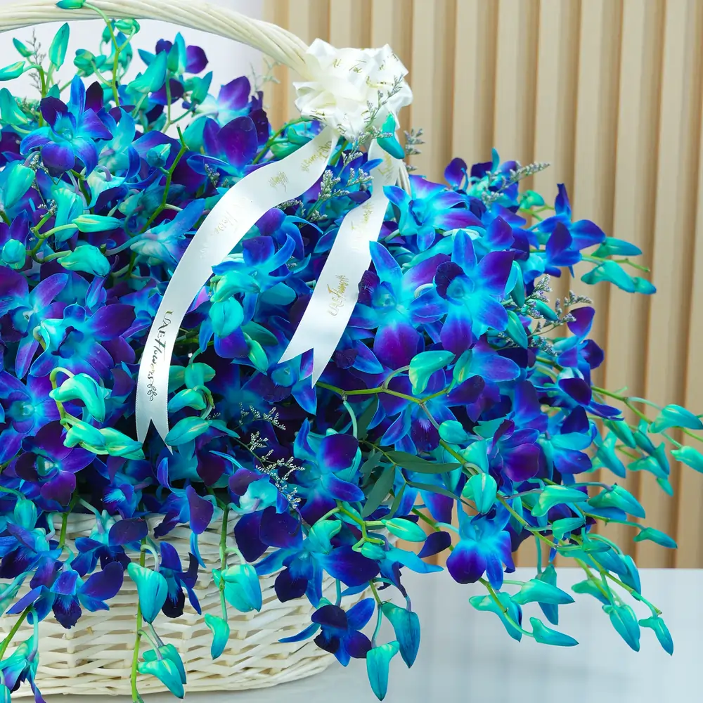 80 blue orchids with fillers in a charming handle basket
