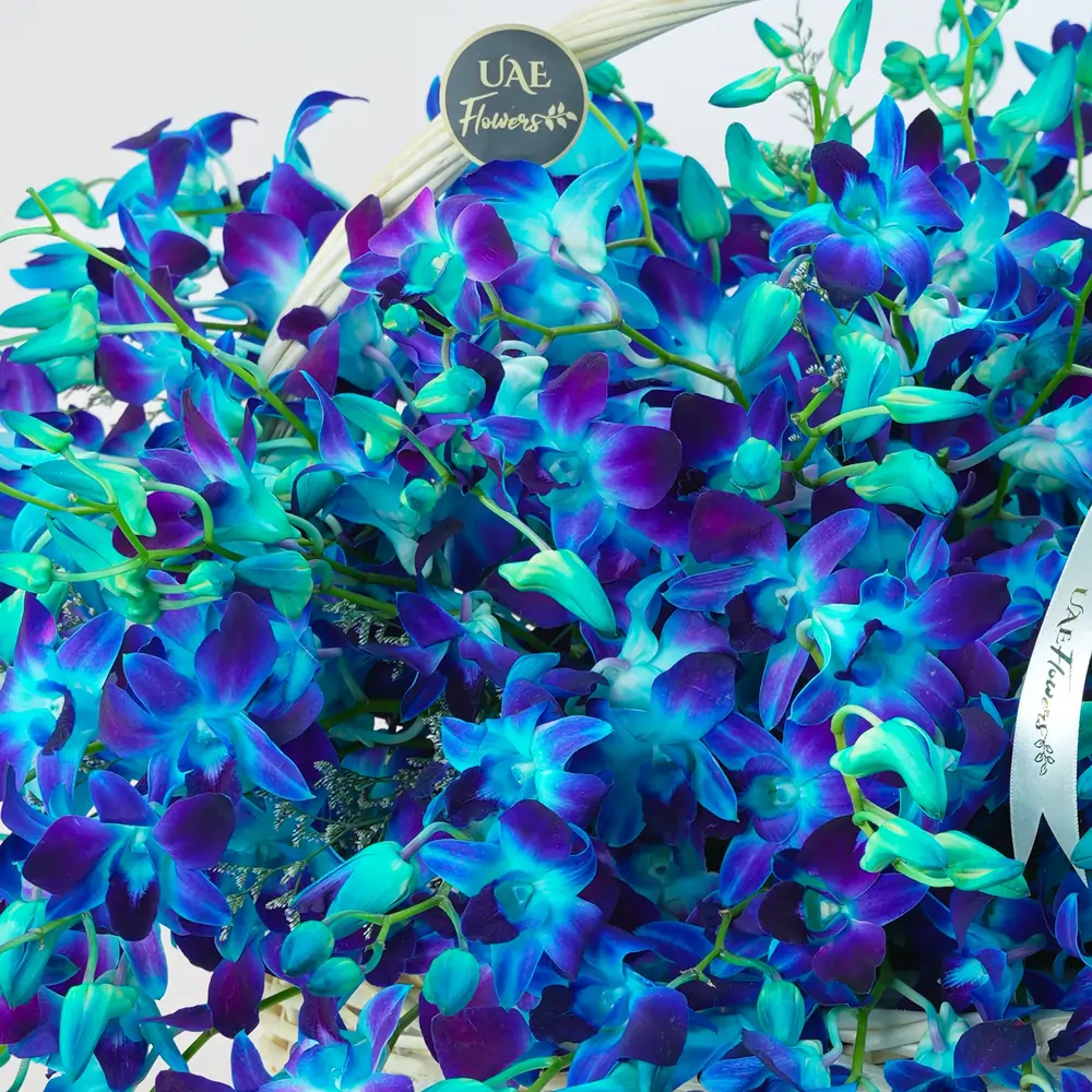 80 blue orchids with fillers in a charming handle basket