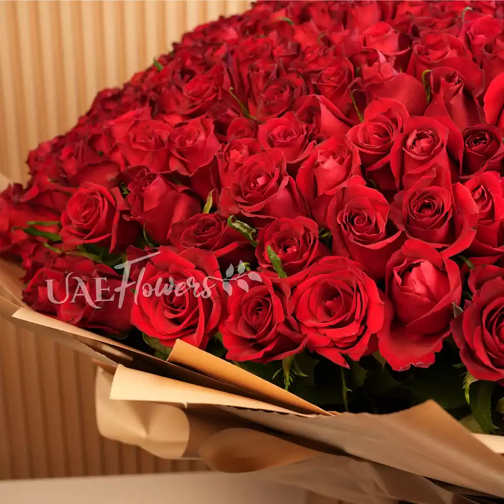 Bouquet of 600 red roses wrapped in wrapping paper and tied with ribbons.