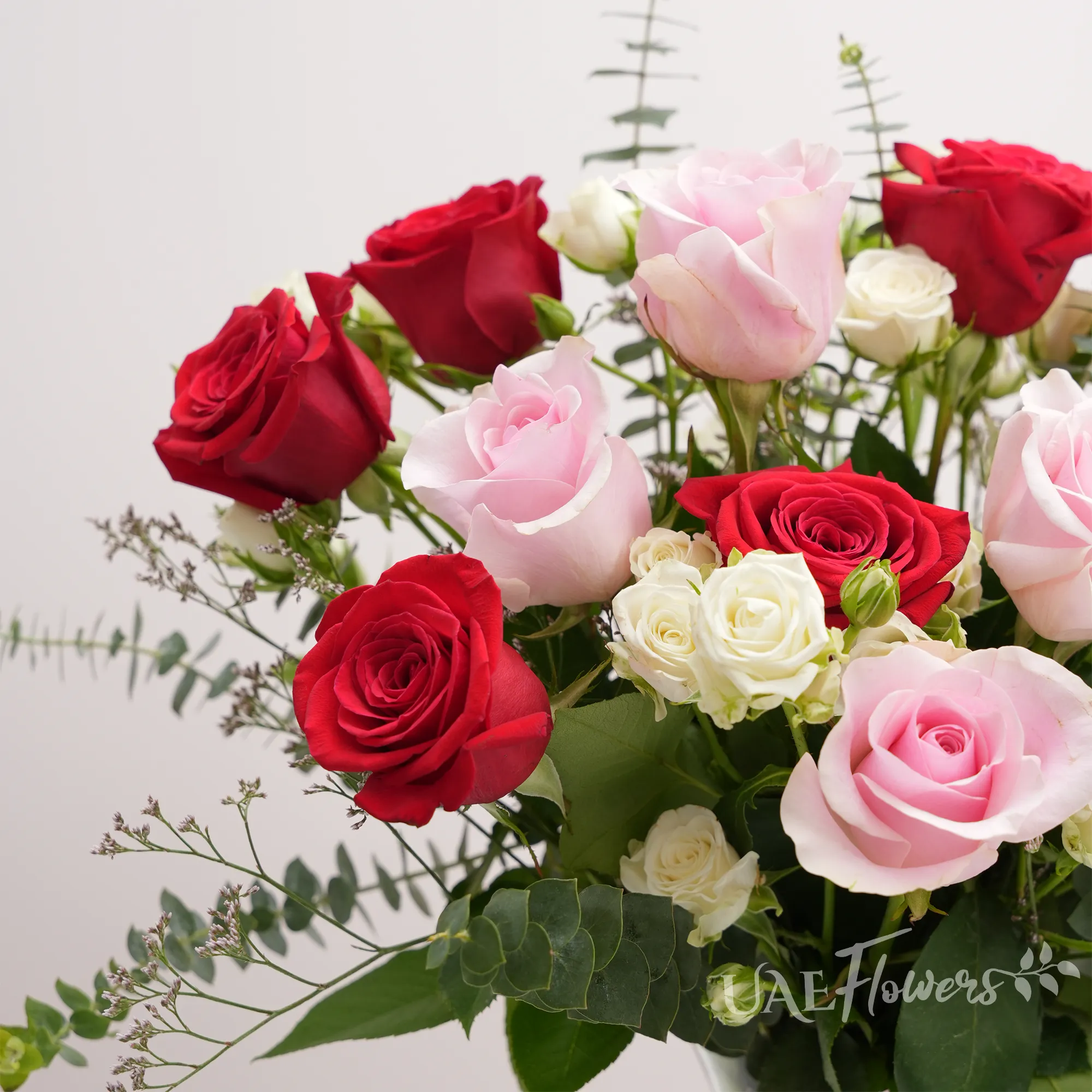 red and pink roses,  white spray roses