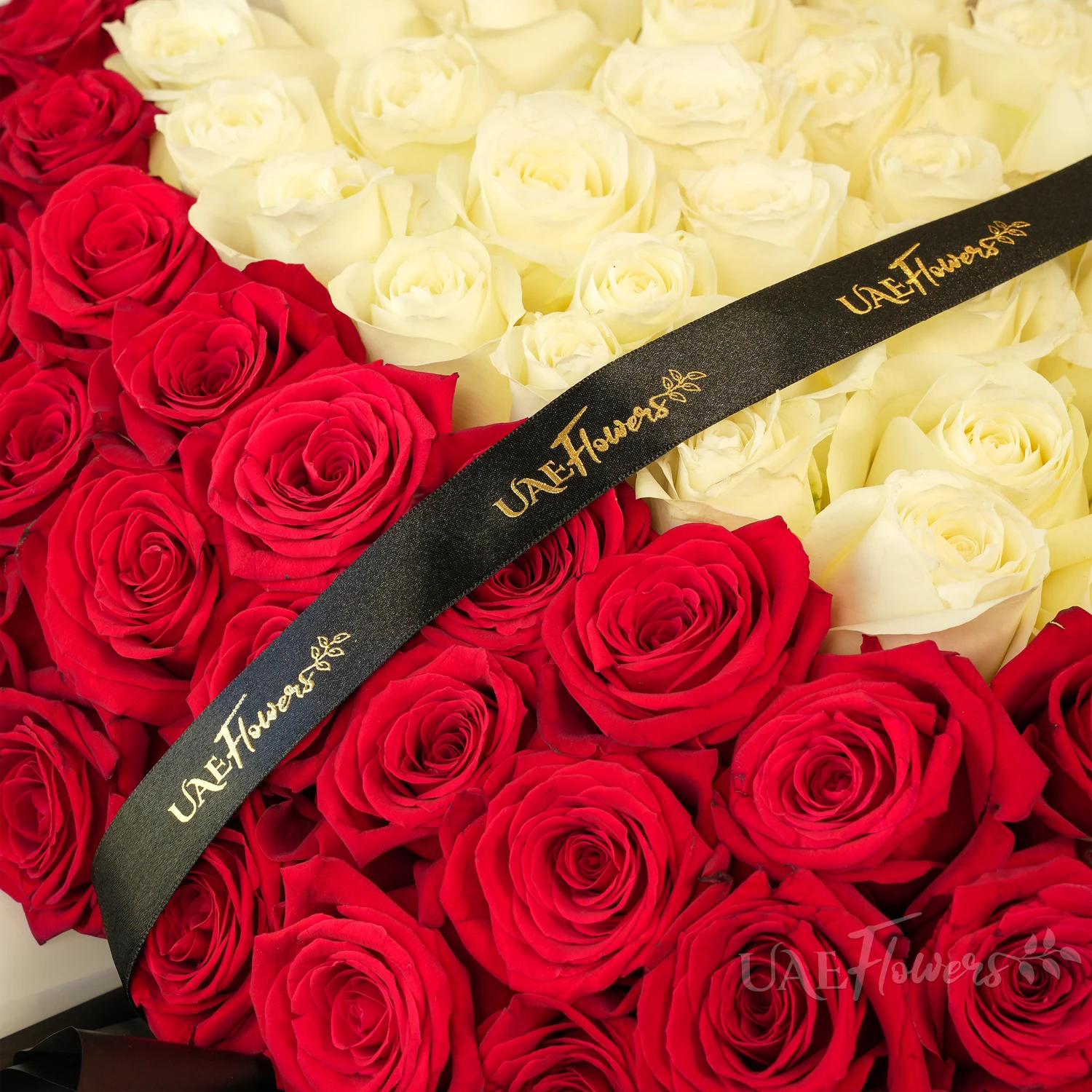 heart-shaped bouquet with 100 red and 50 white roses