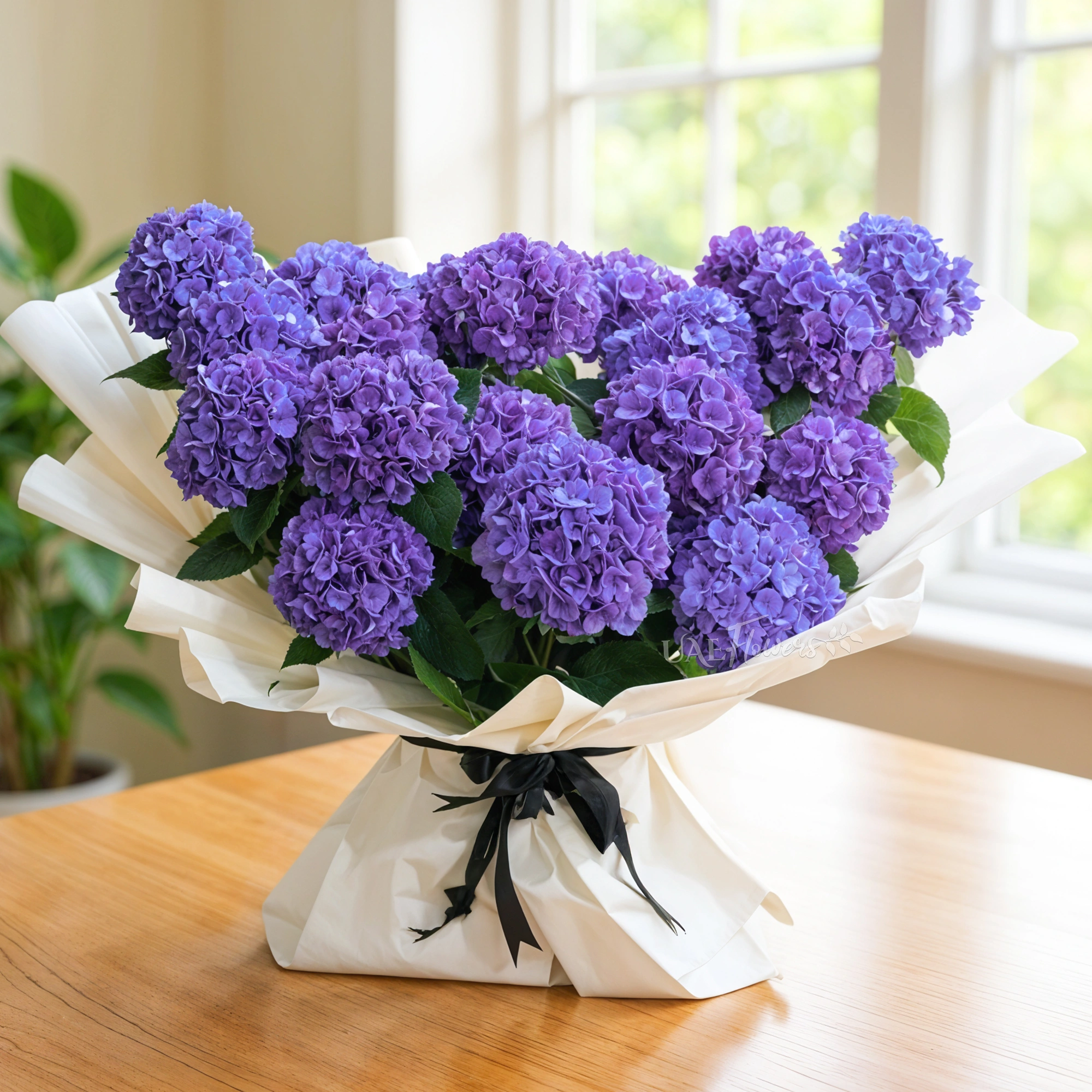 20 purple hydrangeas