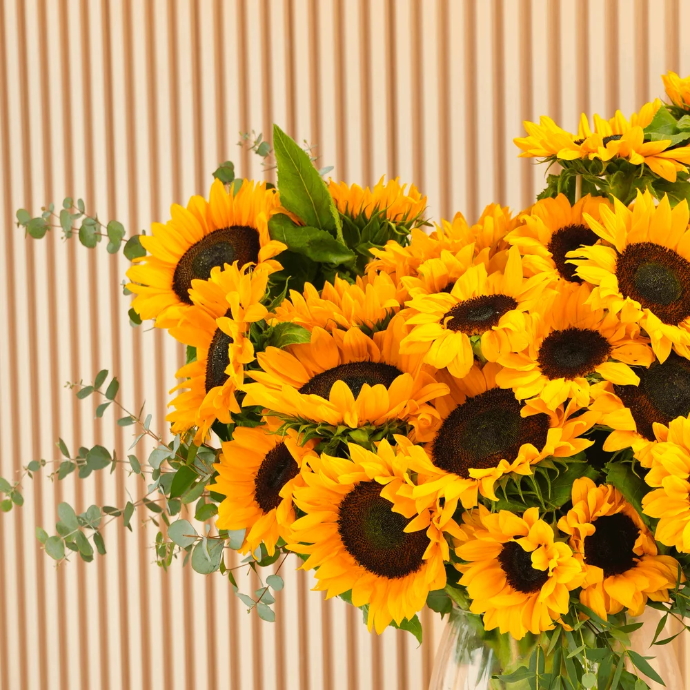 20 bright yellow sunflowers in a crystal glass vase