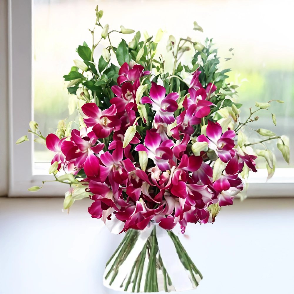 10 purple orchids, beautifully wrapped