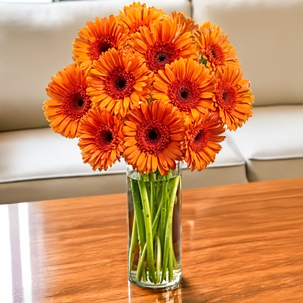 10 bright orange gerberas