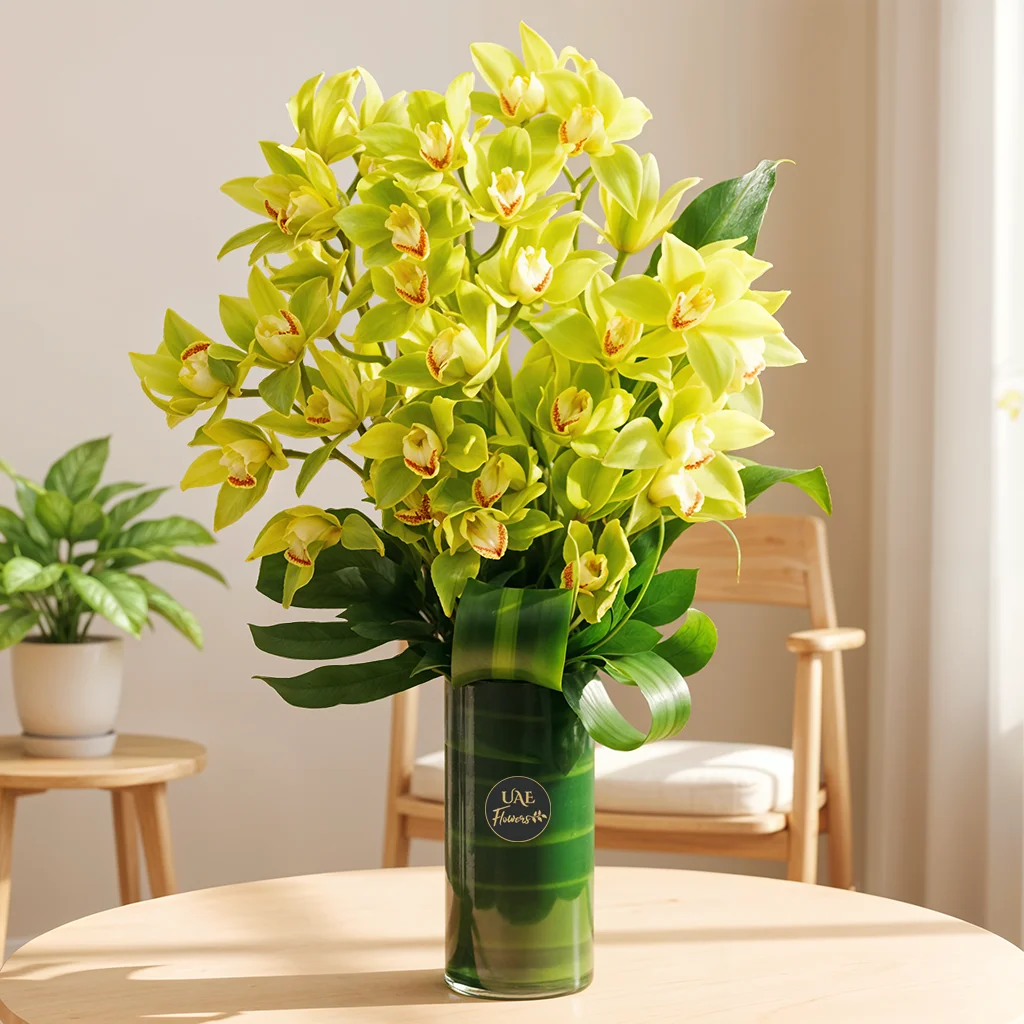 Luxury Green Cymbidium Orchids in Vase