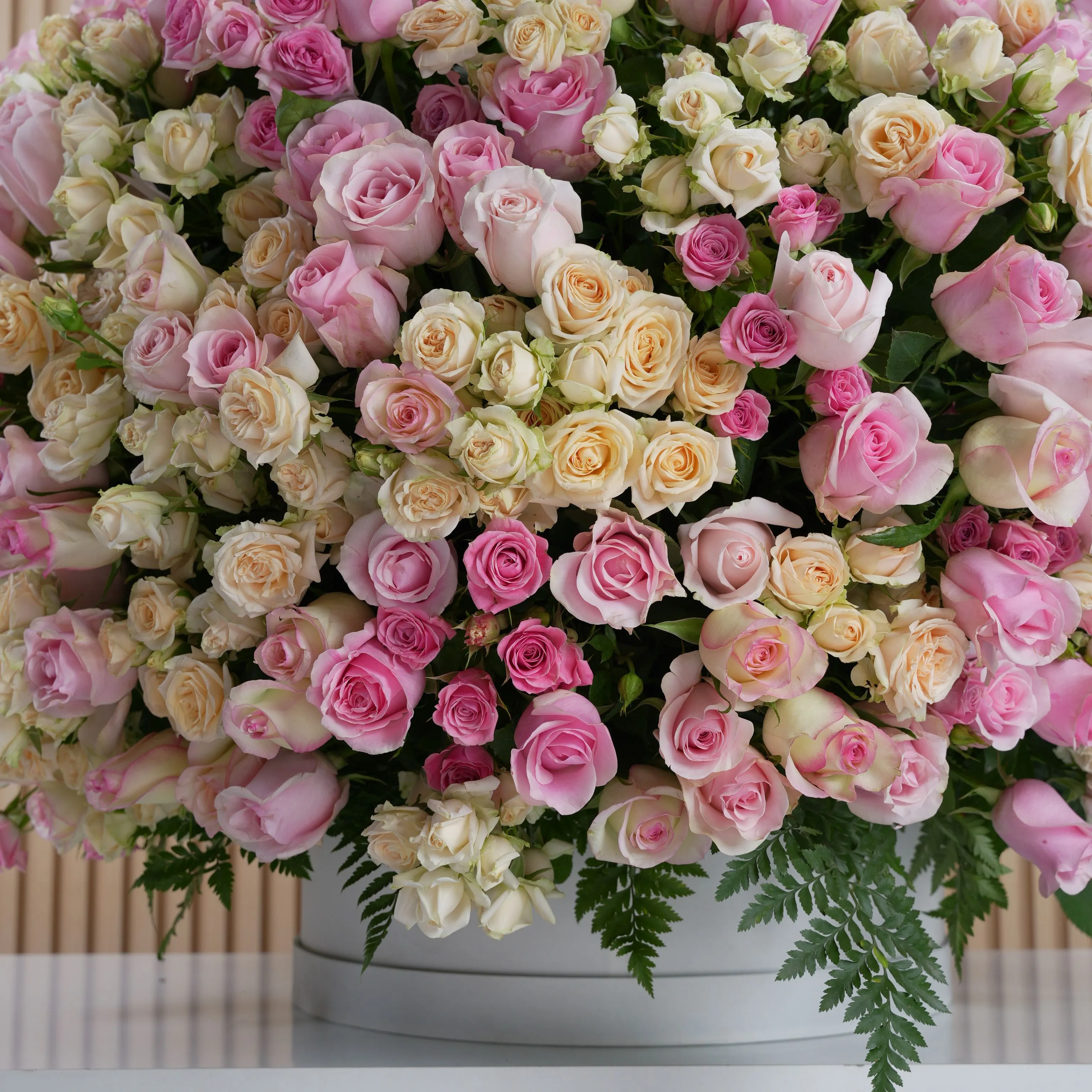 round arrangement of 100 light and dark pink roses and peach spray roses in a round box.