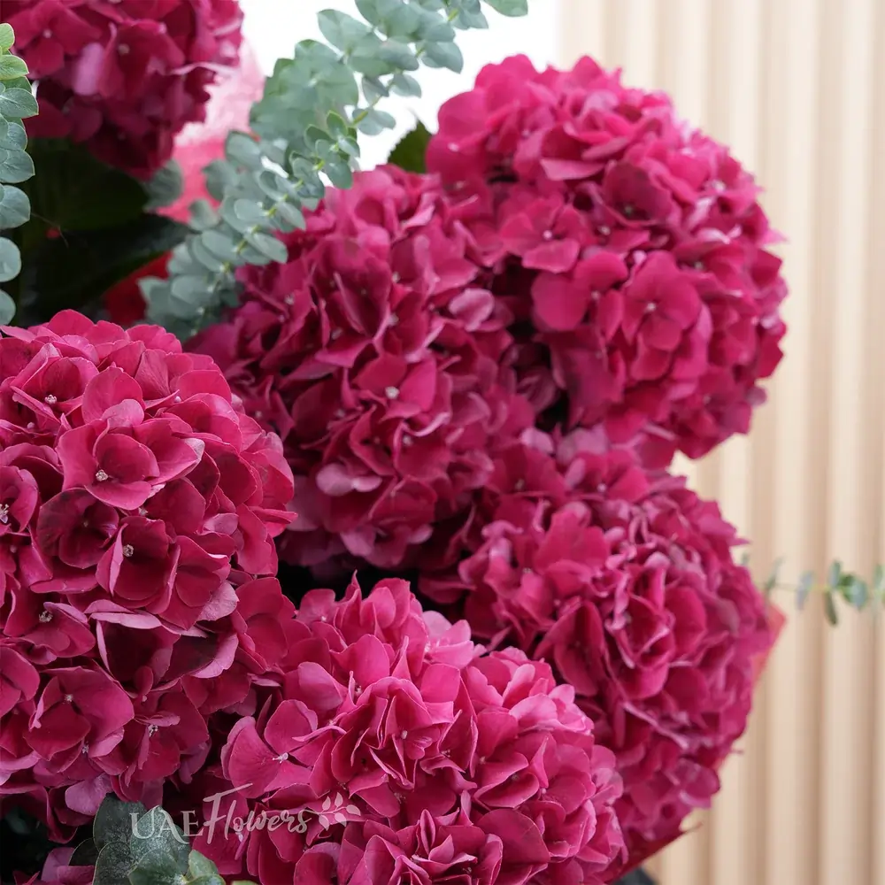 bouquet of 10 red hydrangeas with eucalyptus fillers