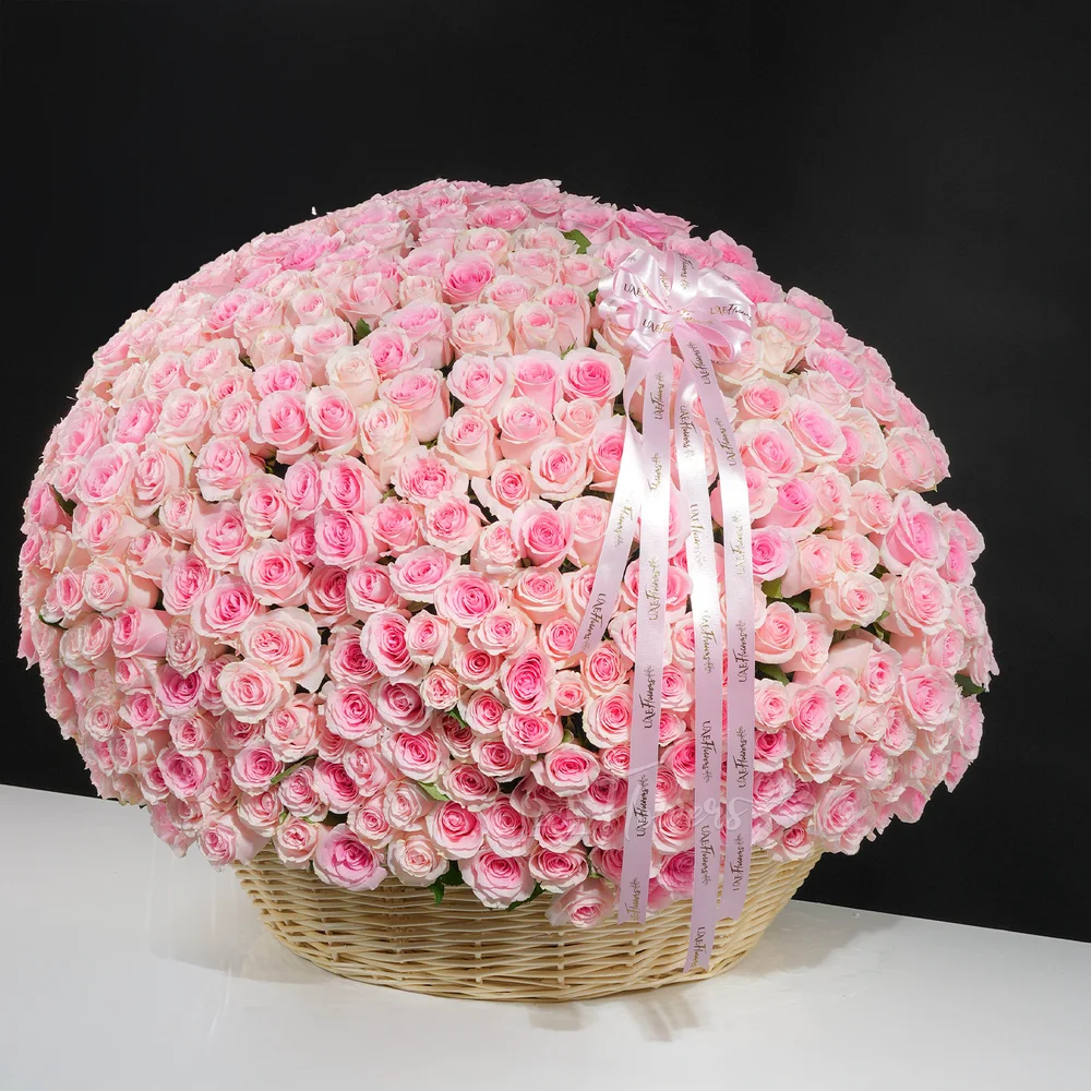 round basket filled with 600 pink roses