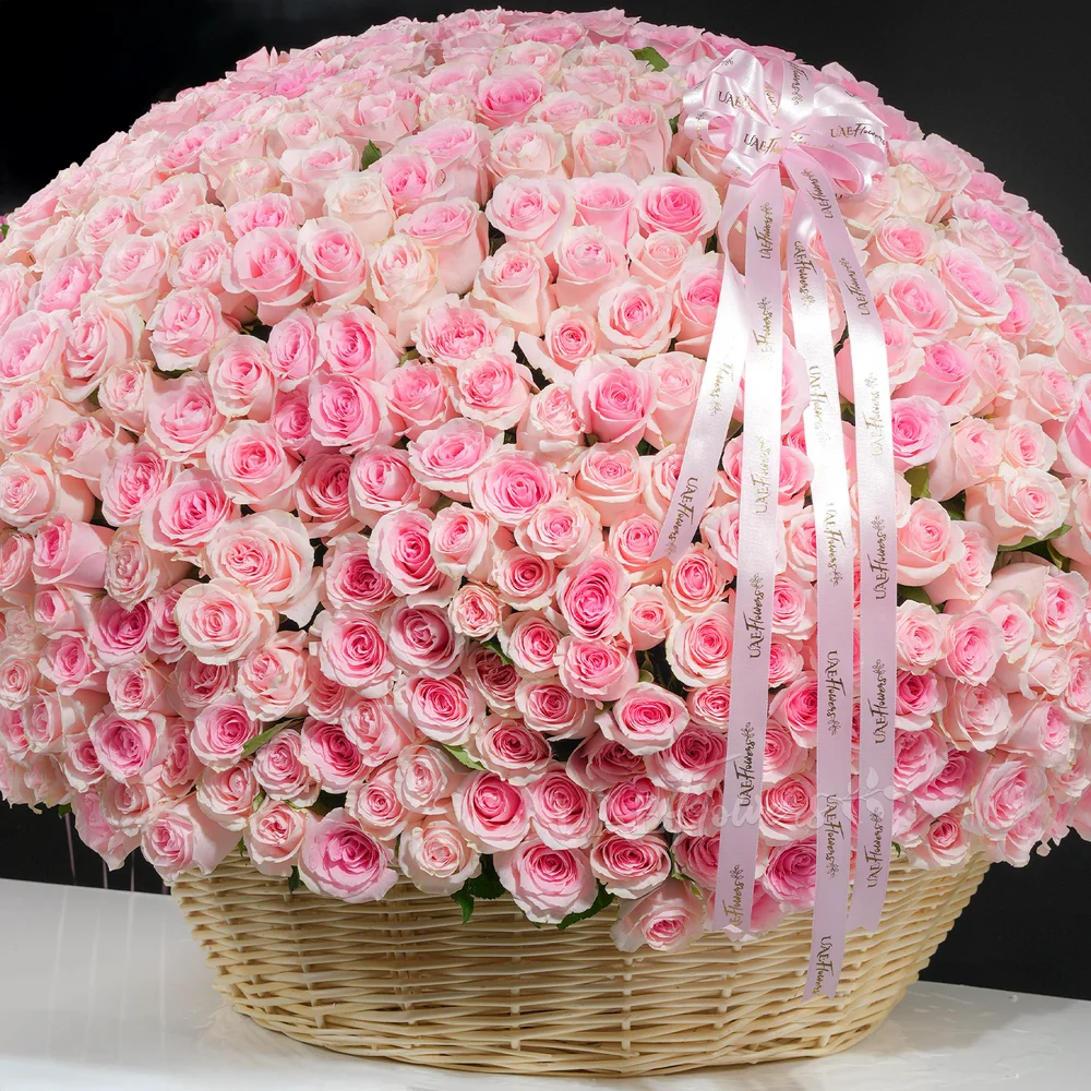round basket filled with 600 pink roses
