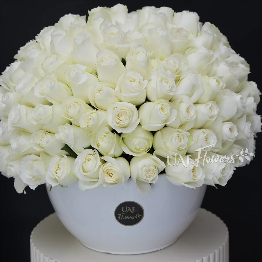 100 white roses bouquet