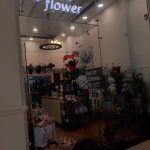 flower shop 800 photo 1